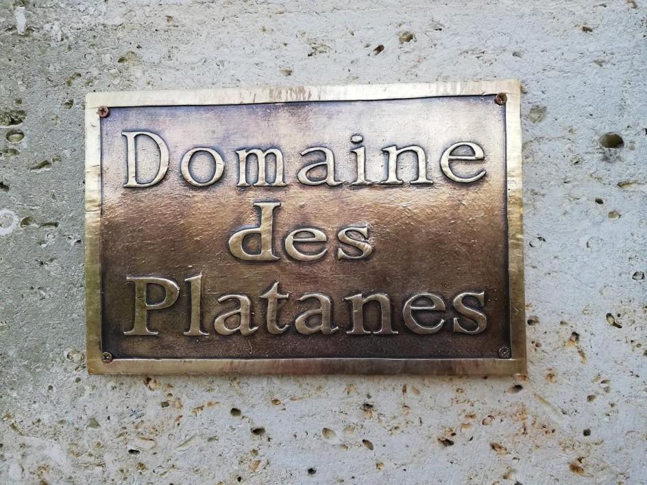 Le Domaine Des Platanes Acomodação com café da manhã Bourg-Charente Exterior foto